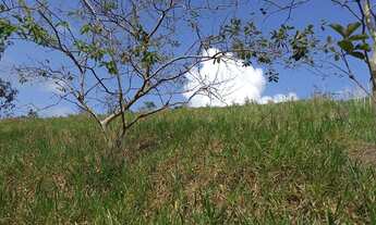Imagem 4: Chacara em fundão 900m2 45 mil negocio parcelo troco agua e luz