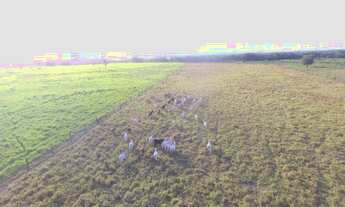 Imagem: R$2 milhões 100 hectares nas margens da