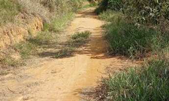 Imagem 7: Chacara em fundão 900m2 45 mil negocio parcelo troco agua e luz