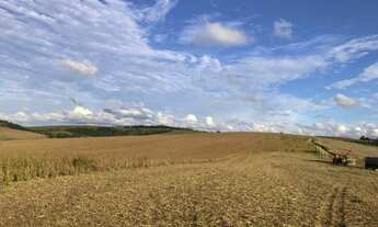Imagem 5: Porto Amazonas - 389 Hectares - Plantando 90 Alqueires - Com Sede Completa