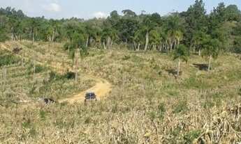 Imagem 7: Fazenda/Sítio/Chácara para venda em Cai de baixo - Quitandinha - Paraná