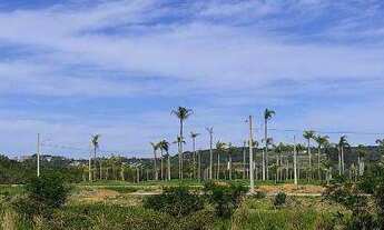 Imagem 5: Terreno à venda, 450 m² por R$ 370.000,00 - Vargem Do Bom Jesus - Florianópolis/SC