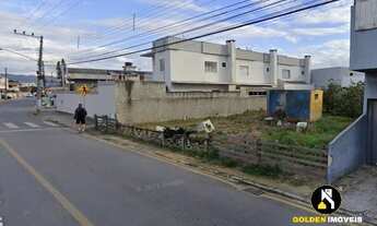 Imagem 3: TERRENO XV DE NOVEMBRO TIJUCAS SC