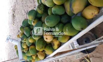 Imagem 7: GRANJA NOVA PARNAMIRIM&gt