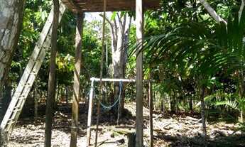 Imagem 4: Sítio no Lago do Juma, Autazes-Am