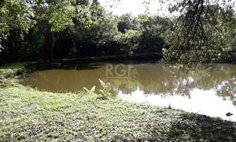 Imagem 6: Viamão - Sítio - Fiuza