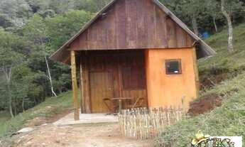 Imagem 2: SITIO EM ATIVIDADE TAUBATÉ