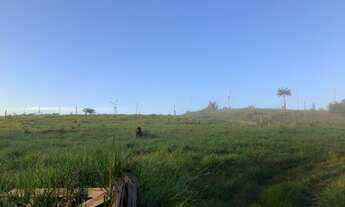 Imagem 3: Área de terra em Itaituba, PA