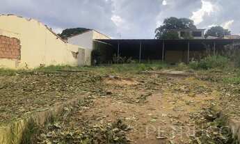 Imagem 4: Terreno - Jardim Guanabara - Campinas