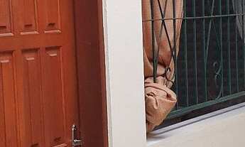 Imagem 7: Casa anual Ilhabela