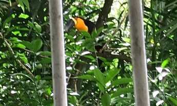 Imagem 6: Apartamento de 130 metros quadrados e área descoberta, no bairro Laranjeiras ,com 3 quarto