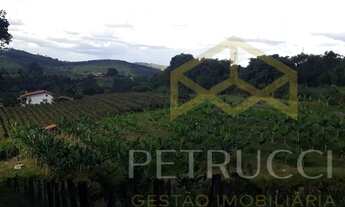 Imagem 3: Sítio - Caixa D´Água - Vinhedo