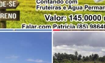 Imagem 4: Terreno em flecheiras, vendemos completo ou dividido