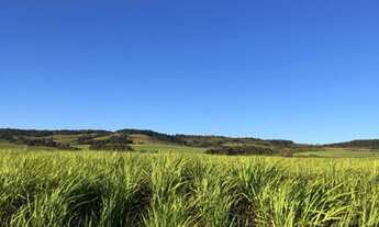Imagem 2: Fazenda 96 Alqueires, Região de Botucatu-Sp
