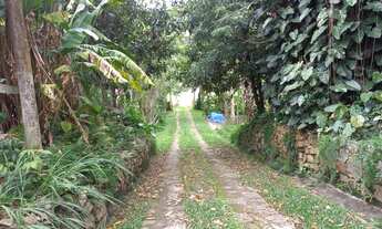 Imagem 3: Sítio em área rural com 20.000m² produzindo ovos, hortaliças, frutas etc..