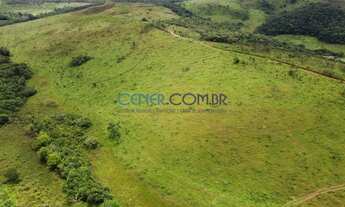 Imagem 2: EXCELENTE FAZENDA DE 142 HA COM MUITA QUALIDADE NA REGIÃO DE BARBACENA MG