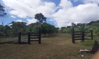 Imagem 6: Valor Sítio BR 174 km 202 ramal do Robertinho