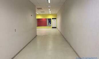 Imagem 3: LOJA - SANTA CECÍLIA - SP