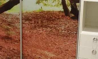 Imagem 4: Apto jardim Maristela