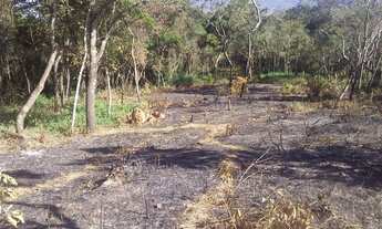 Imagem 2: Chacaras em local tranquilo