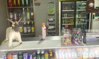 Imagem 6: Vendo distribuidora de bebidas