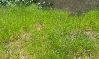 Imagem 5: TERRENO - JARDIM NOVO HORIZONTE - SP