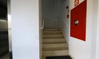 Imagem 7: Toledo - Apartamento - Jardim Gisela