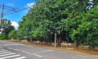 Imagem 3: Terreno - Parque Taquaral - Campinas