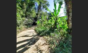 Imagem 3: Vendo terreno no Rio pequeno 15 min de Paraty