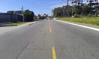 Imagem 4: ÁREA EM PINHAIS