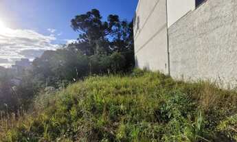 Imagem 2: Lote/terreno à venda em Marau