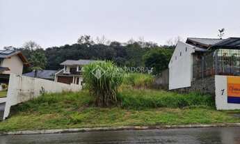 Imagem: IVOTI - Terreno Padrão - Vista Alegre