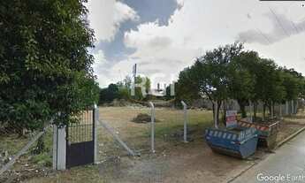 Imagem: Porto Alegre - Terreno Padrão - Floresta