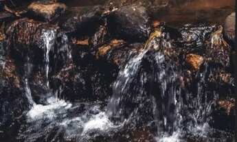 Imagem 5: Terreno com linda vista