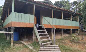 Imagem 2: Sítio no Lago do Juma, Autazes-Am