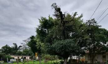 Imagem: Porto Alegre - Terreno Padrão - Ipanema