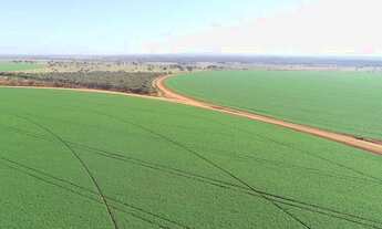 Imagem: Vendo fazenda