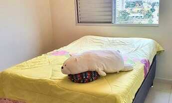 Imagem 5: GOIâNIA - Padrão - Jardim Atlântico