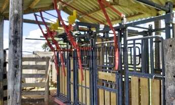 Imagem 3: Fazenda à venda em Jangada-MT