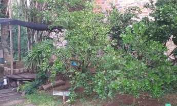 Imagem 5: Porto Alegre - Casa Padrão - Vila São José