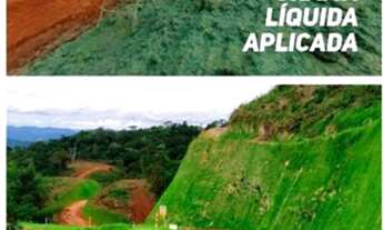 Imagem 4: Grama Líquida ?VERDETEC ?