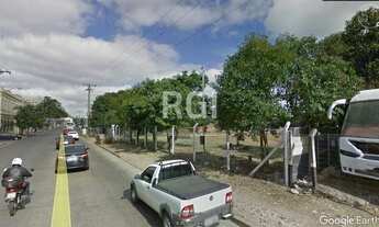 Imagem 4: Porto Alegre - Terreno Padrão - Floresta