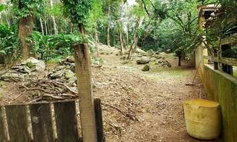 Imagem 6: Toque Toque Grande - terreno perto da mata atlântica. estuda permuta