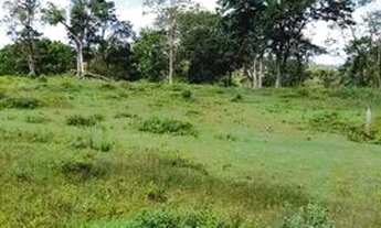 Imagem 4: Terreno em Mairinque por R$ 89.997,00 - Construa sua casa em um ambiente tranquilo!