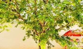 Imagem 2: ÓTIMA CASA MUITO ENSOLARADA DE ESQUINA E COM AGRADÁVEL QUINTAL COM ESPAÇO PARA PISCINA!!