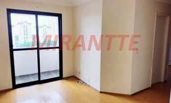 Imagem: Lindo apartamento em Horto Florestal