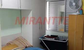 Imagem 7: Lindo apartamento em Vila Amalia