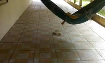 Imagem: Casa em colares