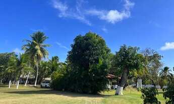 Imagem 6: Terreno Comercial para Venda em Caucaia, Lagoa do Banana