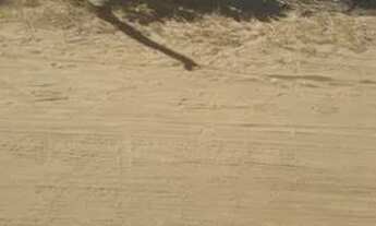 Imagem 4: Casa na praia de Santa Clara uma rua ao lado da pousada tropical